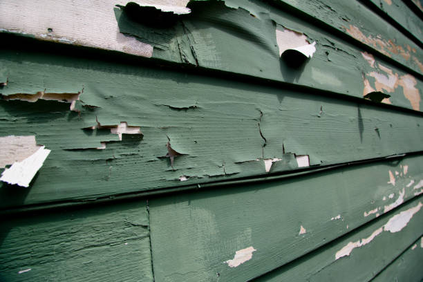 Best Recycling Services for Junk  in Florence, CO